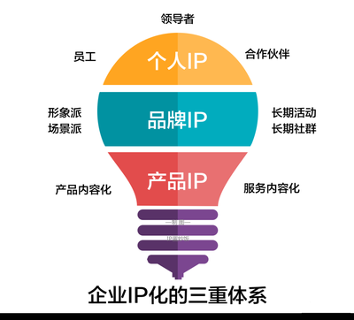 企业IP化营销操作指南 从品牌到超级符号的进阶管理