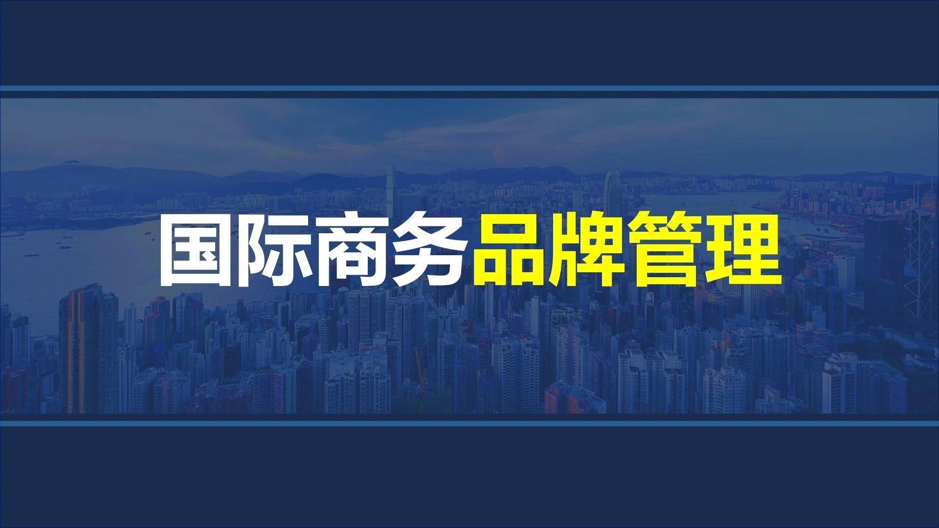 国际商务品牌管理 从战略到价值